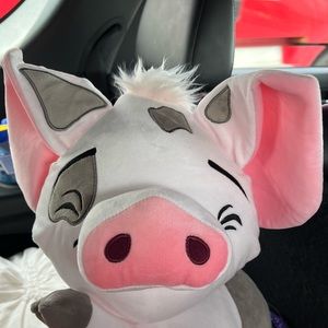 Meet your Posher, Grace